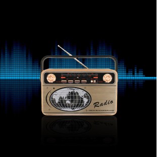 راديو بريموت كنترول MD-503BT